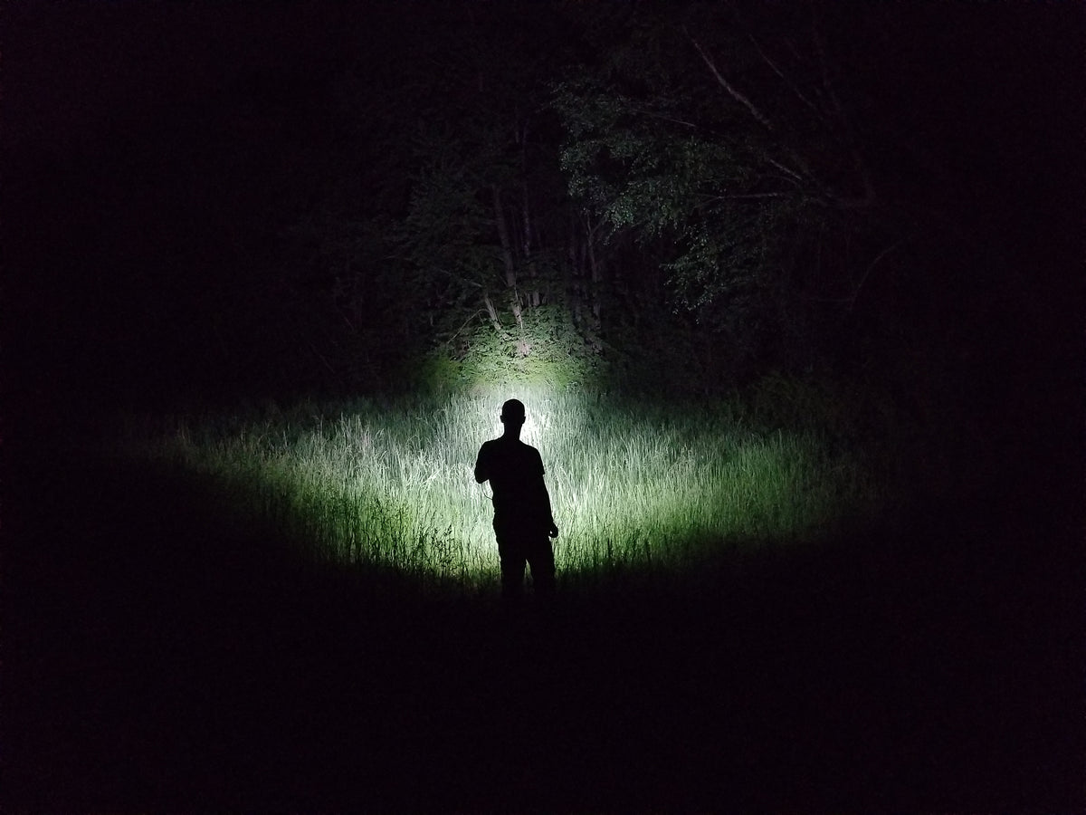 Coon Lights Nite Life Kennel