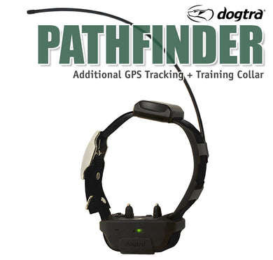 Dogtra Pathfinder additional Collar