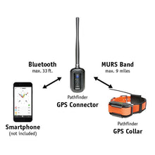 Dogtra Pathfinder Gps Track and Train